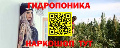 гидропоника Будённовск